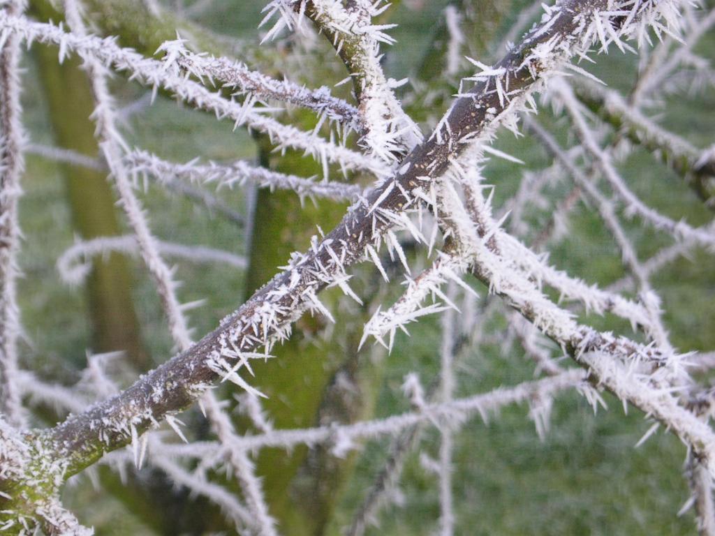 Eiskristalle 006